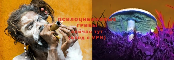 экстази Михайлов